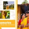 designer haldi photo album psd 2025