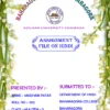 College Assignment Cover Page Digital Design