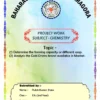 College Assignment Cover Page Digital Design with rainbow Background