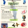 Cricket Tournament and Outdoor Games Digital Colored Pamphlet